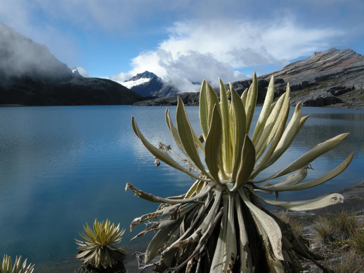 Hostal El Caminante El Cocuy Exteriér fotografie